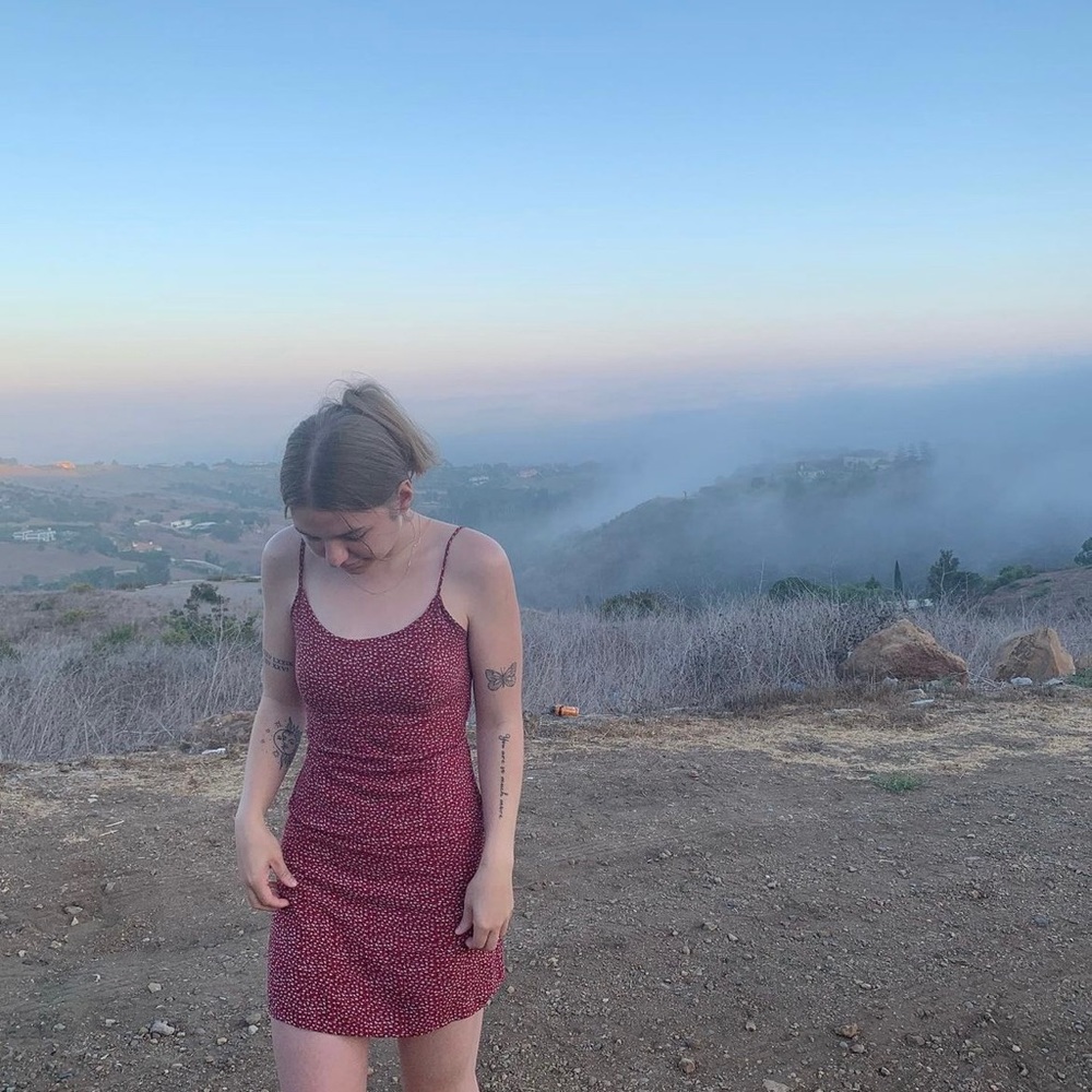 brandy melville red floral dress